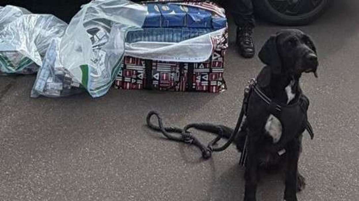 illegal tobacco