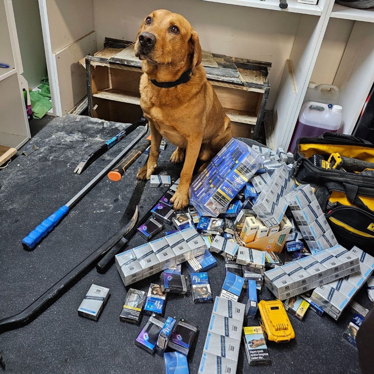 Illegal vapes and tobacco seized by police in Sunderland raids