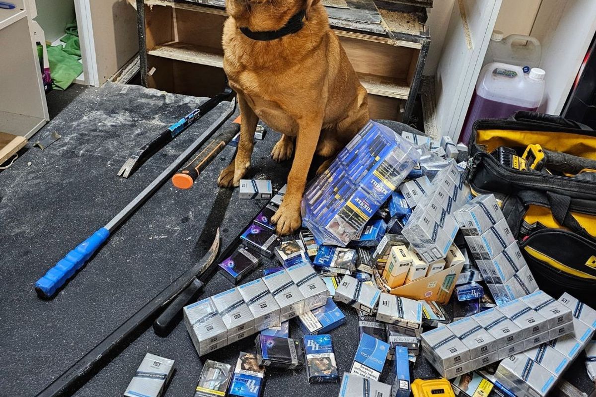 Illegal vapes and tobacco seized by police in Sunderland raids