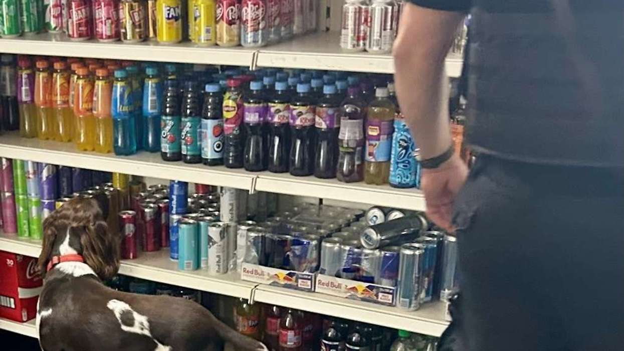 illicit alcohol