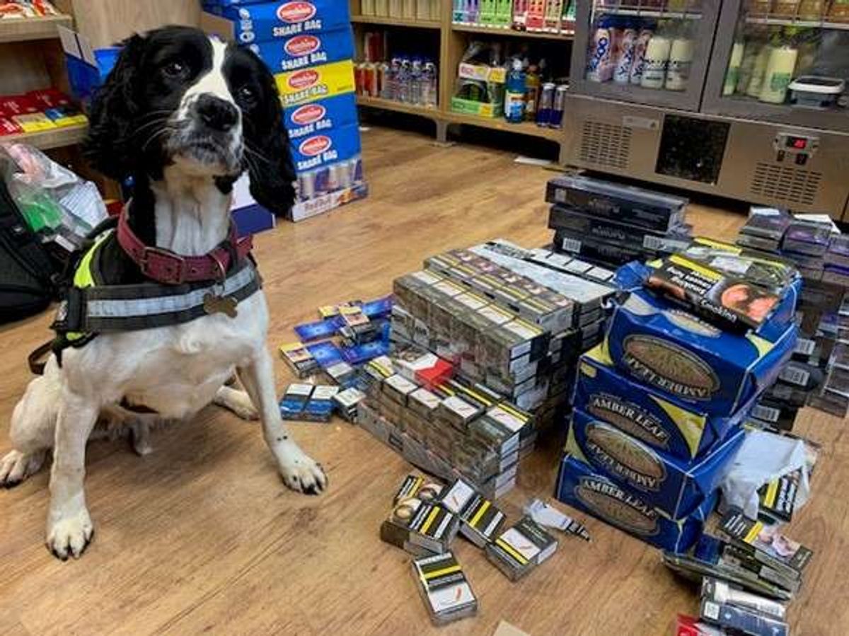 illicit tobacco trade retailers UK