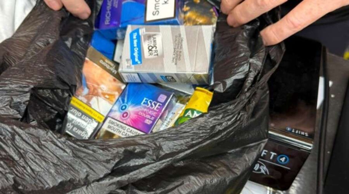 illicit tobacco