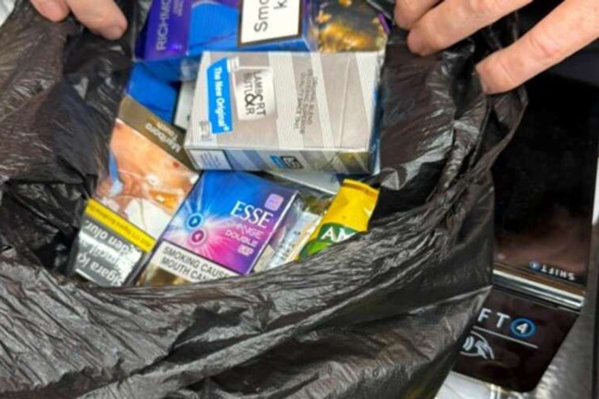 illicit tobacco