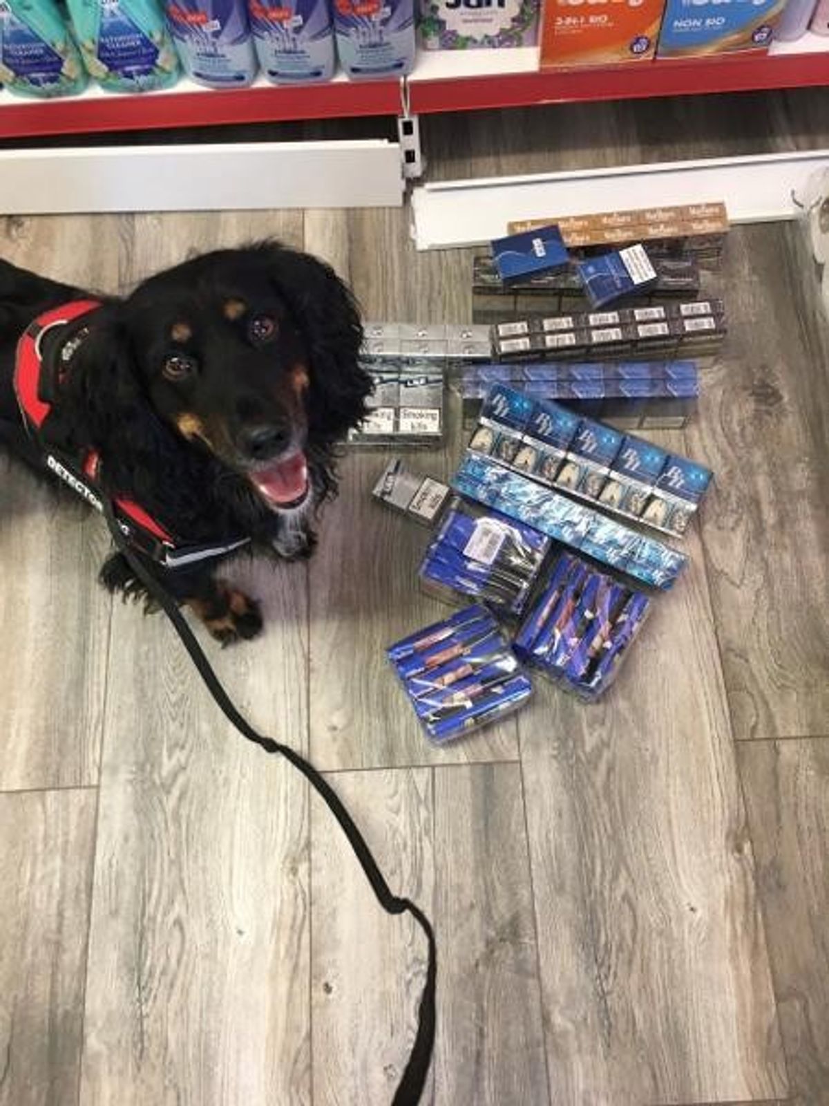 £16,000 worth illegal cigarettes, vapes seized in Durham