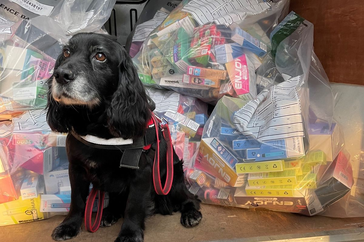 Over £18,000 worth of illegal vapes seized in Nottinghamshire