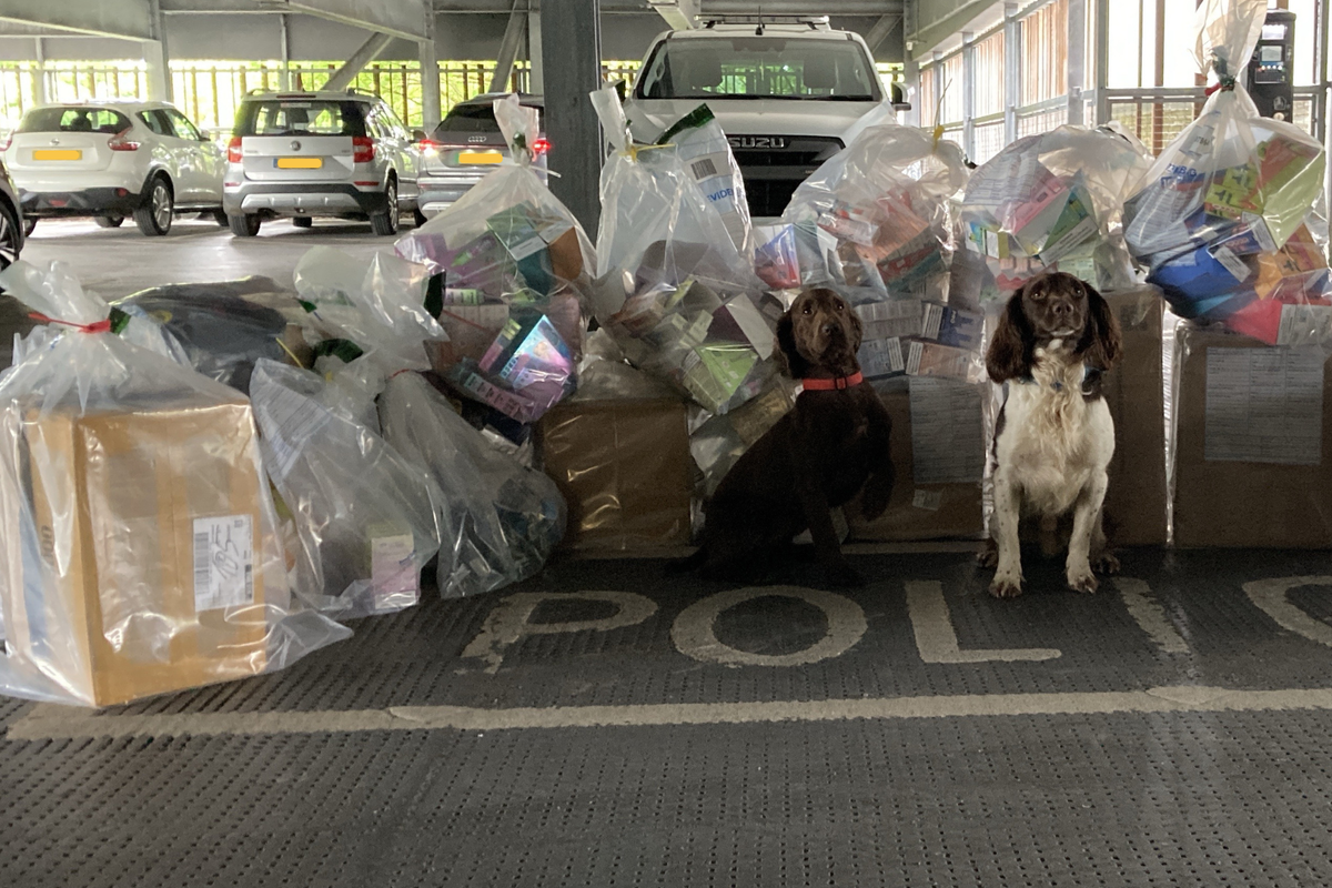 Concern raised over rise of illegal vapes in Somerset