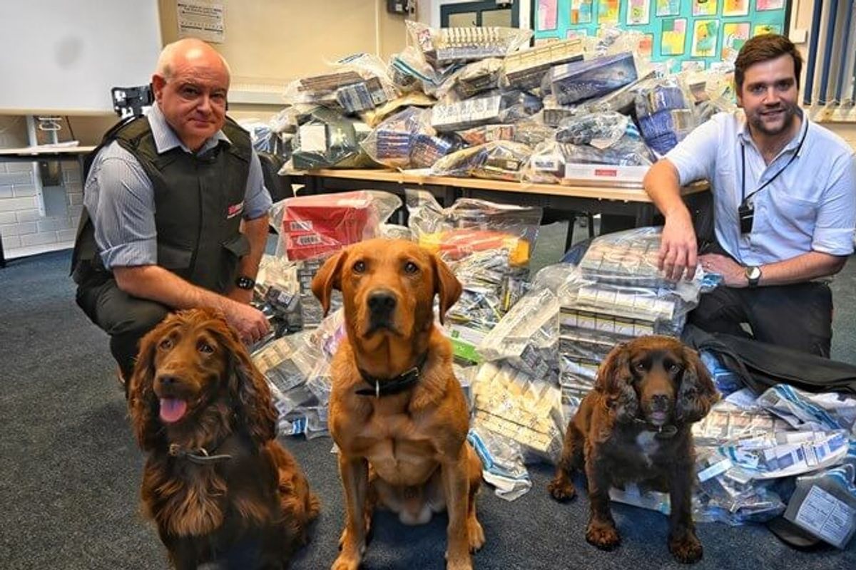 46,000 illegal cigarettes, 218 illicit vapes seized from six stores in Darlington