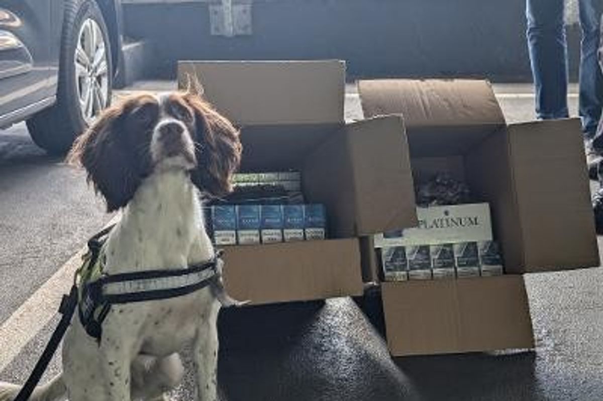 £8,000 worth of illegal tobacco seized from East Renfrewshire shops