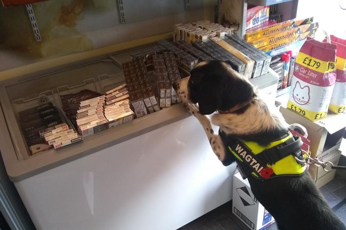 Illegal tobacco worth £25,000 seized from local shops in Hammersmith