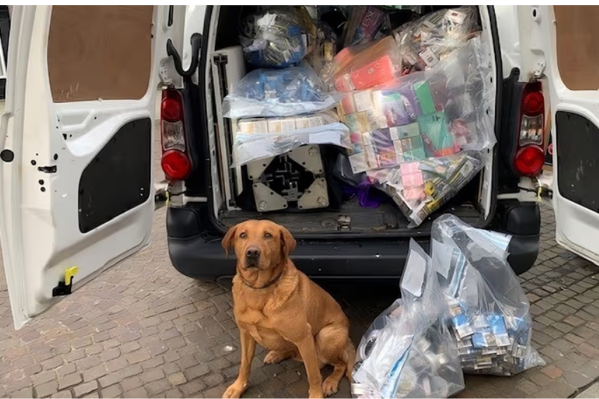 Illegal tobacco, vapes sniffed out in Folkestone and Hythe