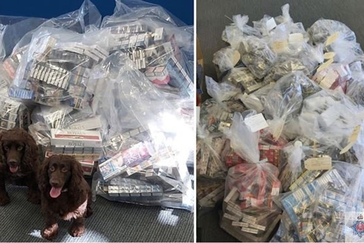 Kent police secures largest single seizure of illicit cigarettes in secret tunnel