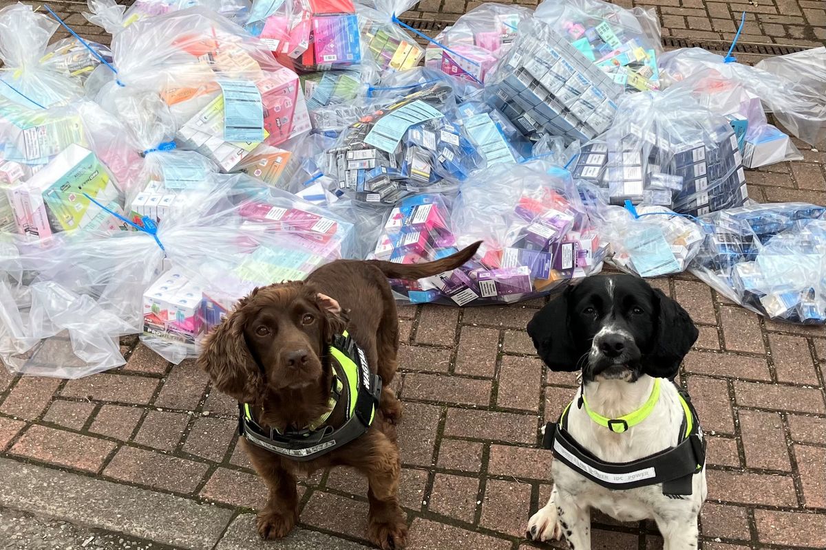 £50k worth of illegal tobacco seized in Oldham
