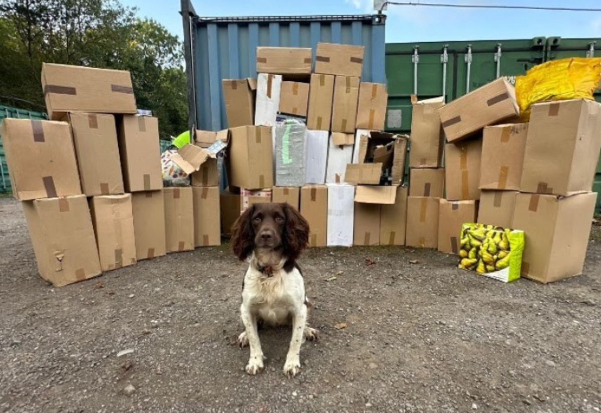 Illicit tobacco worth £400k seized in Walsall in largest seizure to date