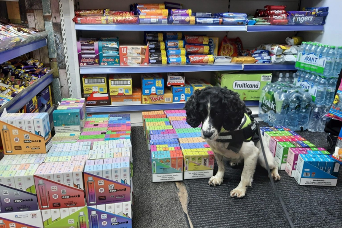 More than £40,000 worth of illegal cigarettes, vapes seized in Huddersfield