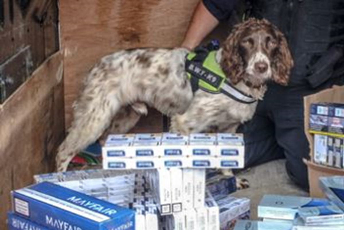 Salisbury c-store owner sentenced for selling illicit tobacco
