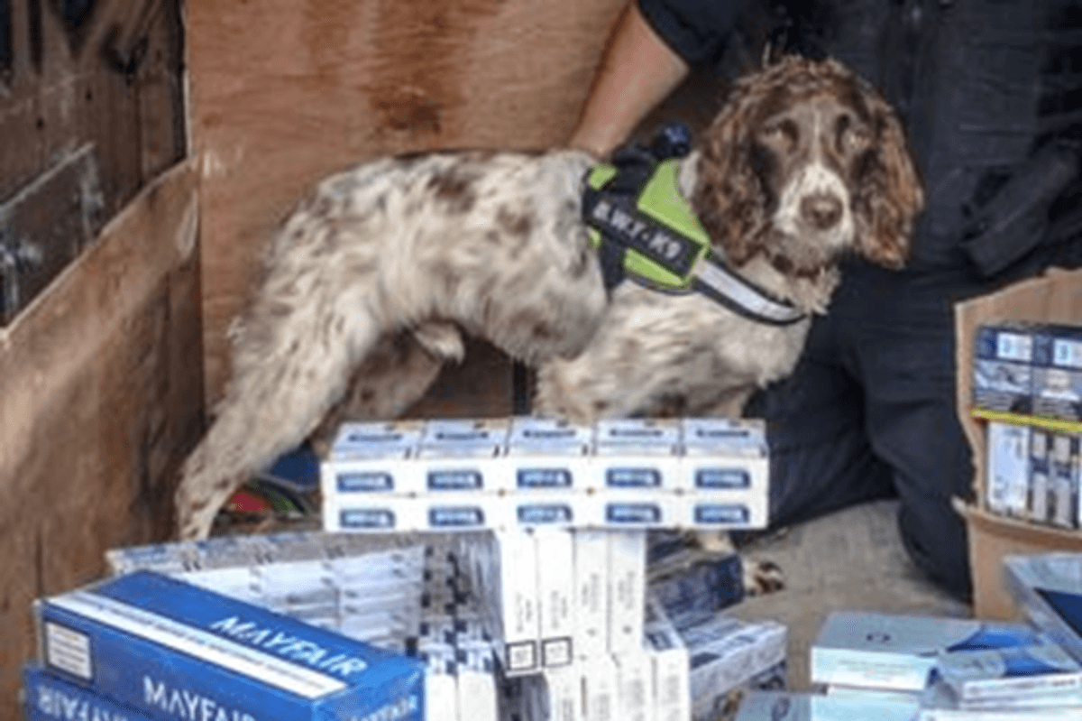 Salisbury c-store owner sentenced for selling illicit tobacco