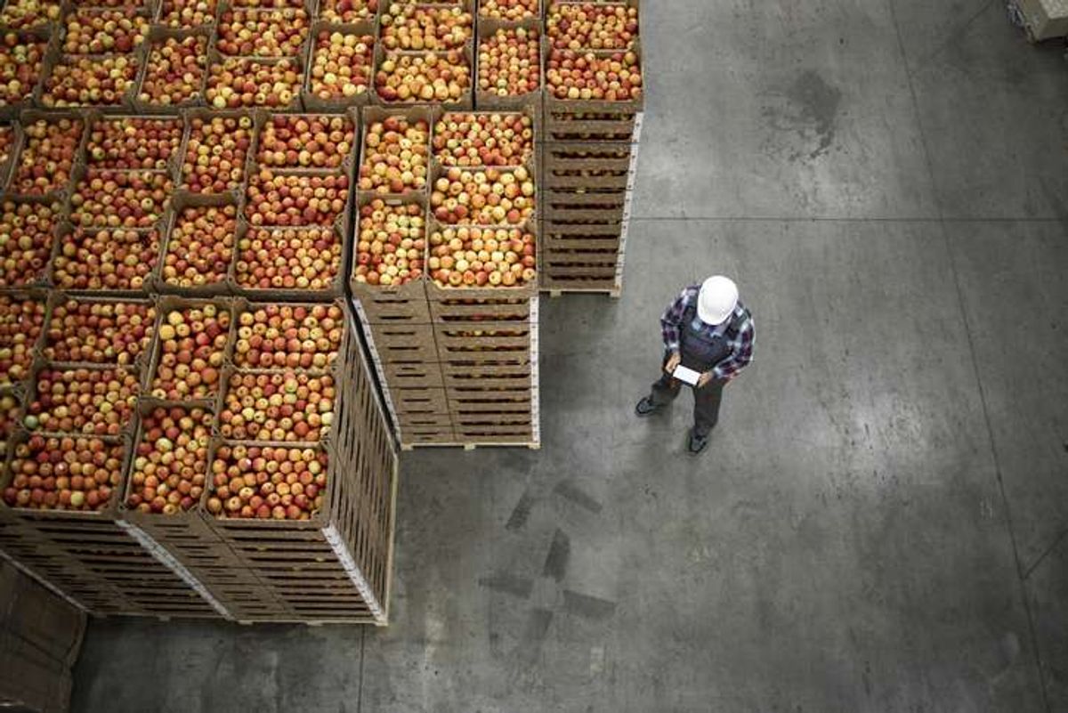 UK food system faces £2.6bn climate inaction shock, warns new IGD report
