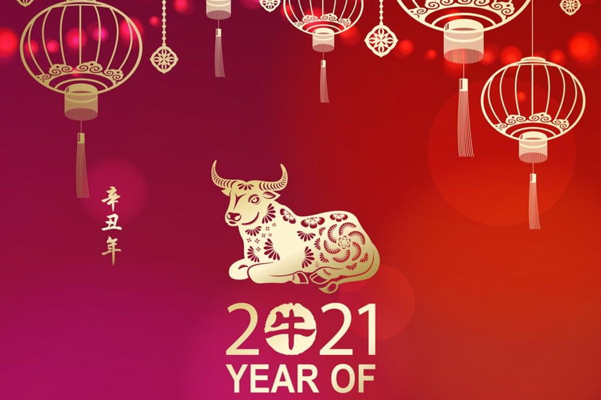 Year of the Ox