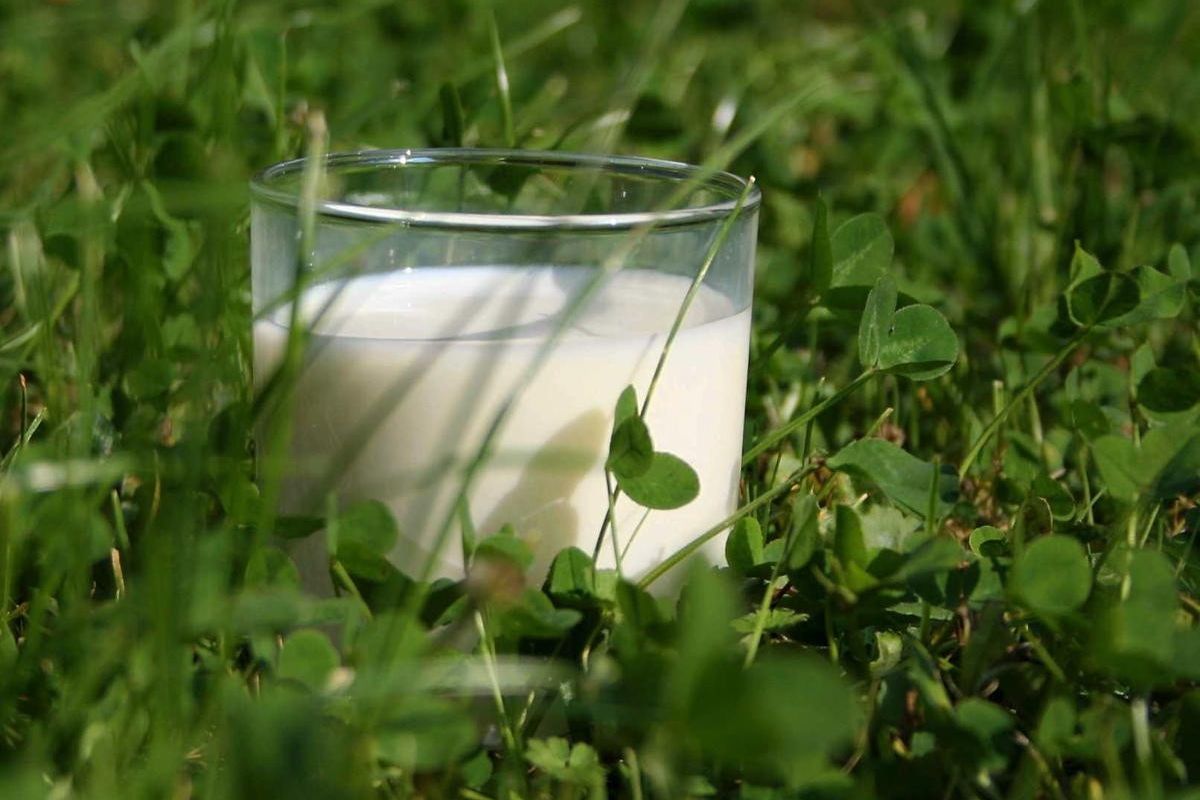 Arla Foods launches new organic standards targeting 50 per cent growth