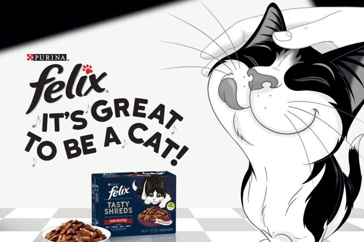 Felix launches new campaign to drive pet owners into stores