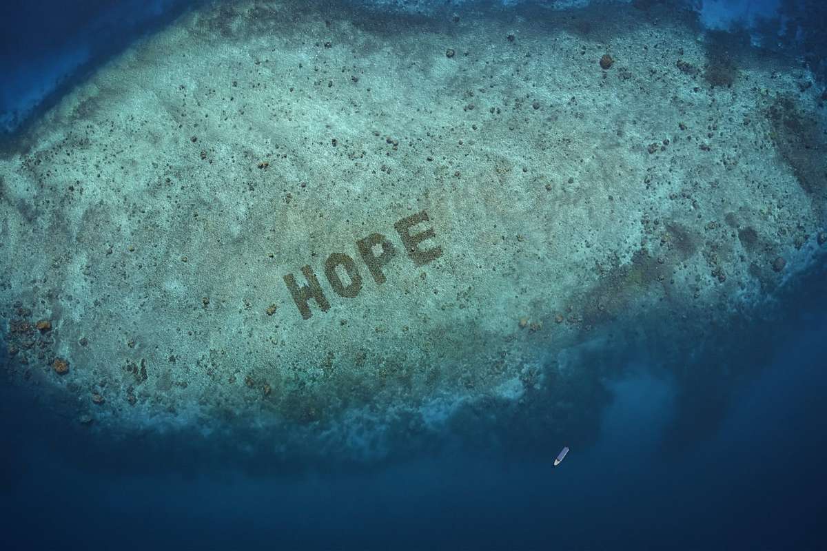 Mars Petcare kicks off ‘Sheba Hope Reef’ programme