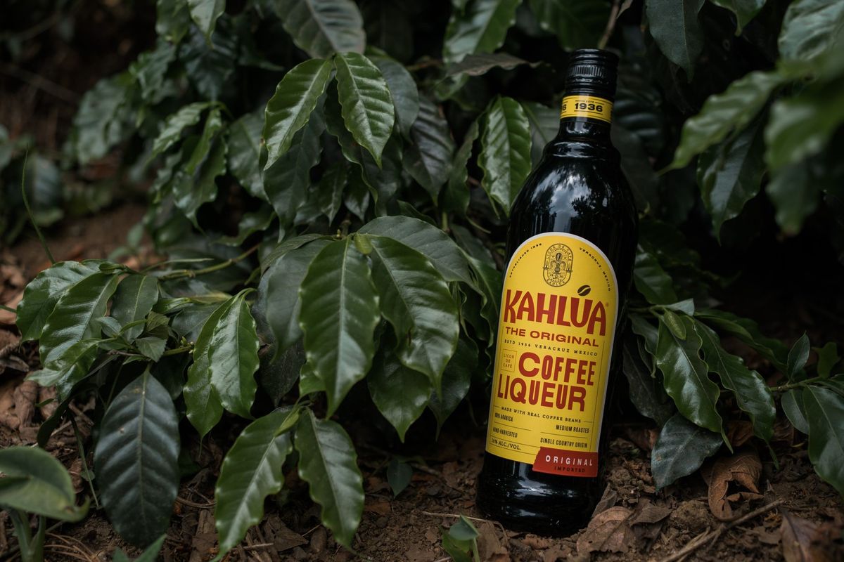 Coffee liqueur Kahlúa launches blueprint for sustainable coffee programme