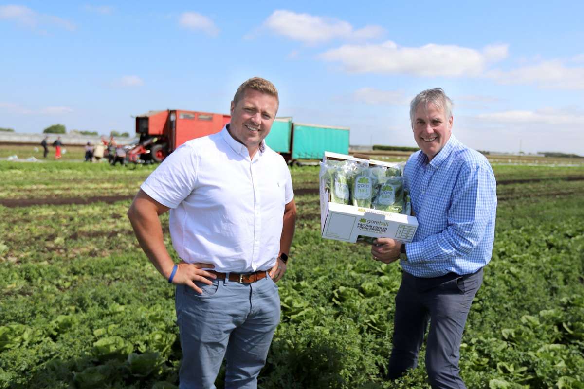 All roads lead to Romaine: new lettuce lines land in SPAR