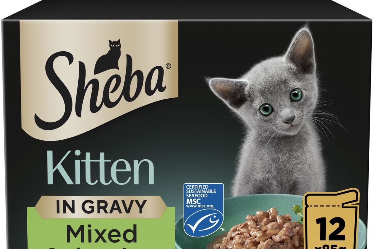 Mars Petcare future-proofs category with new Sheba Kitten range