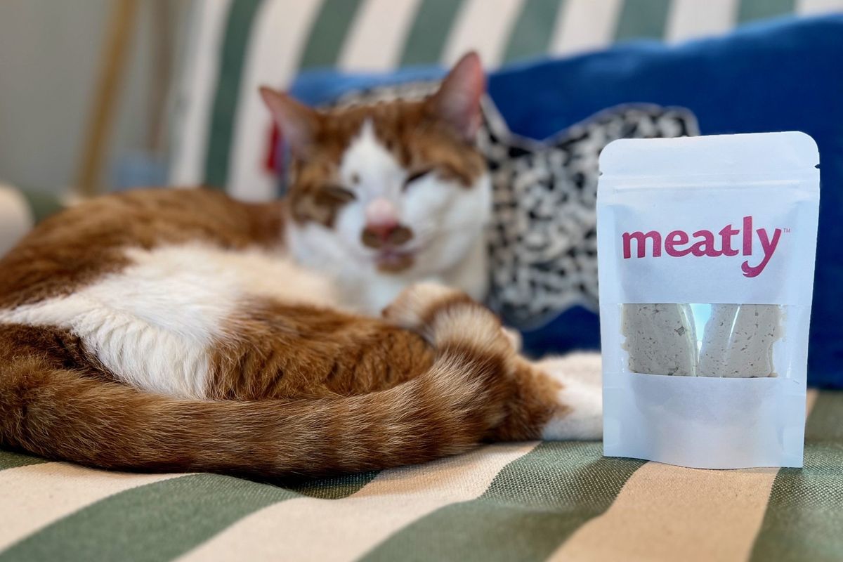 Meatly receives UK approval for cultivated pet food