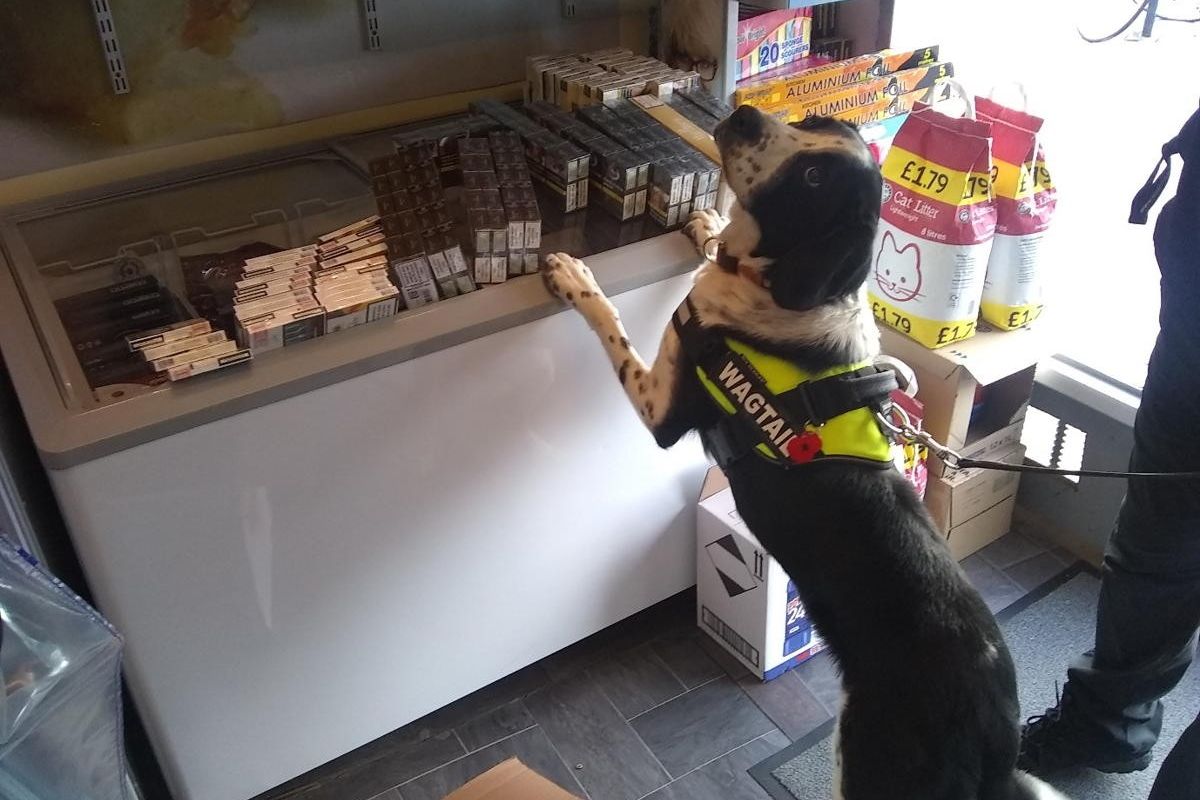 Operation CeCe leads to haul of millions of illegal tobacco products from retail premises