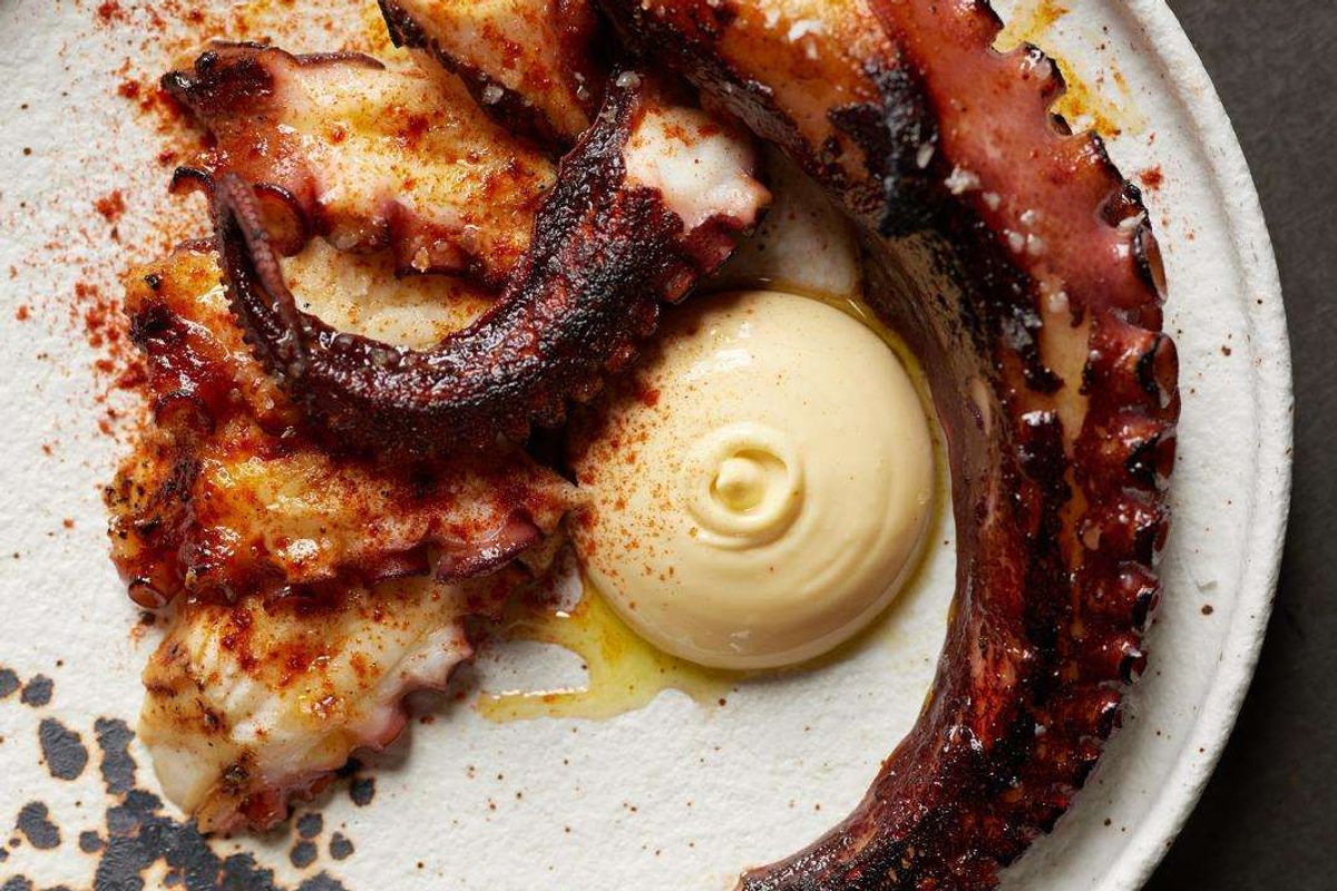 Mevalco’s premium octopus lands in UK
