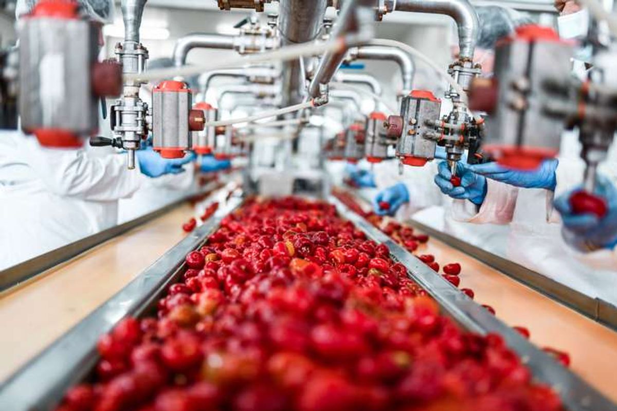 Food and drink manufacturers brace for budget impact as confidence drops