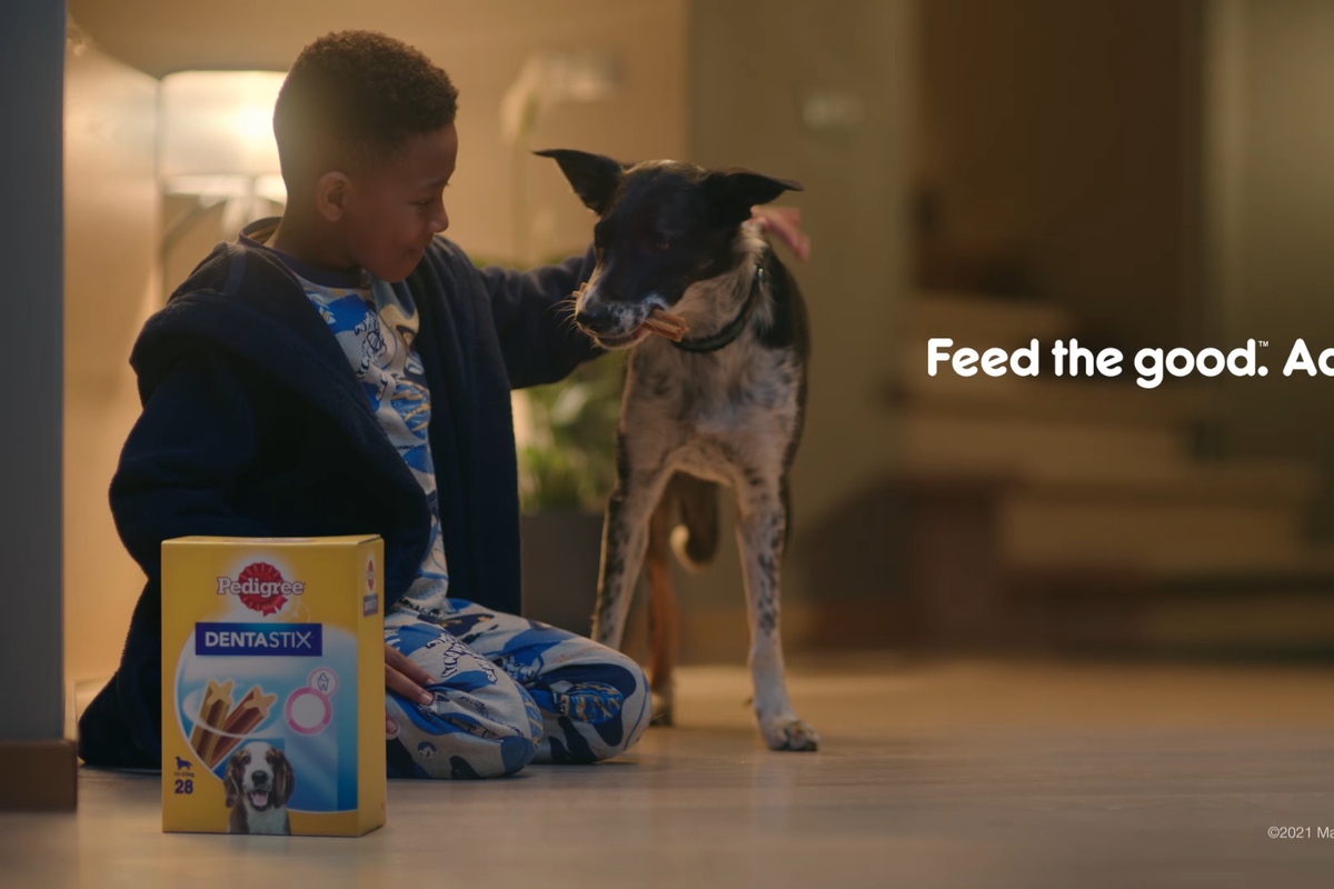 'Adoption Mission': Mars Petcare campaigns to end pet homelessness