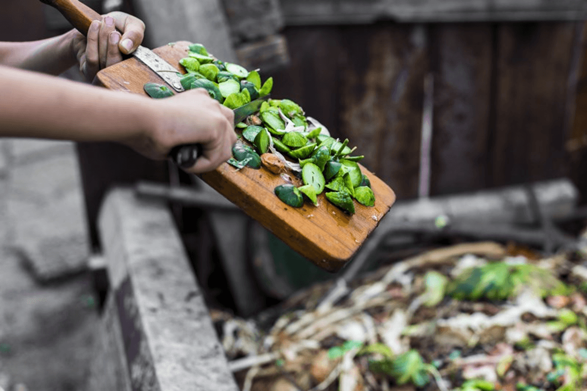 Food retailers need support for upcoming food waste legislation