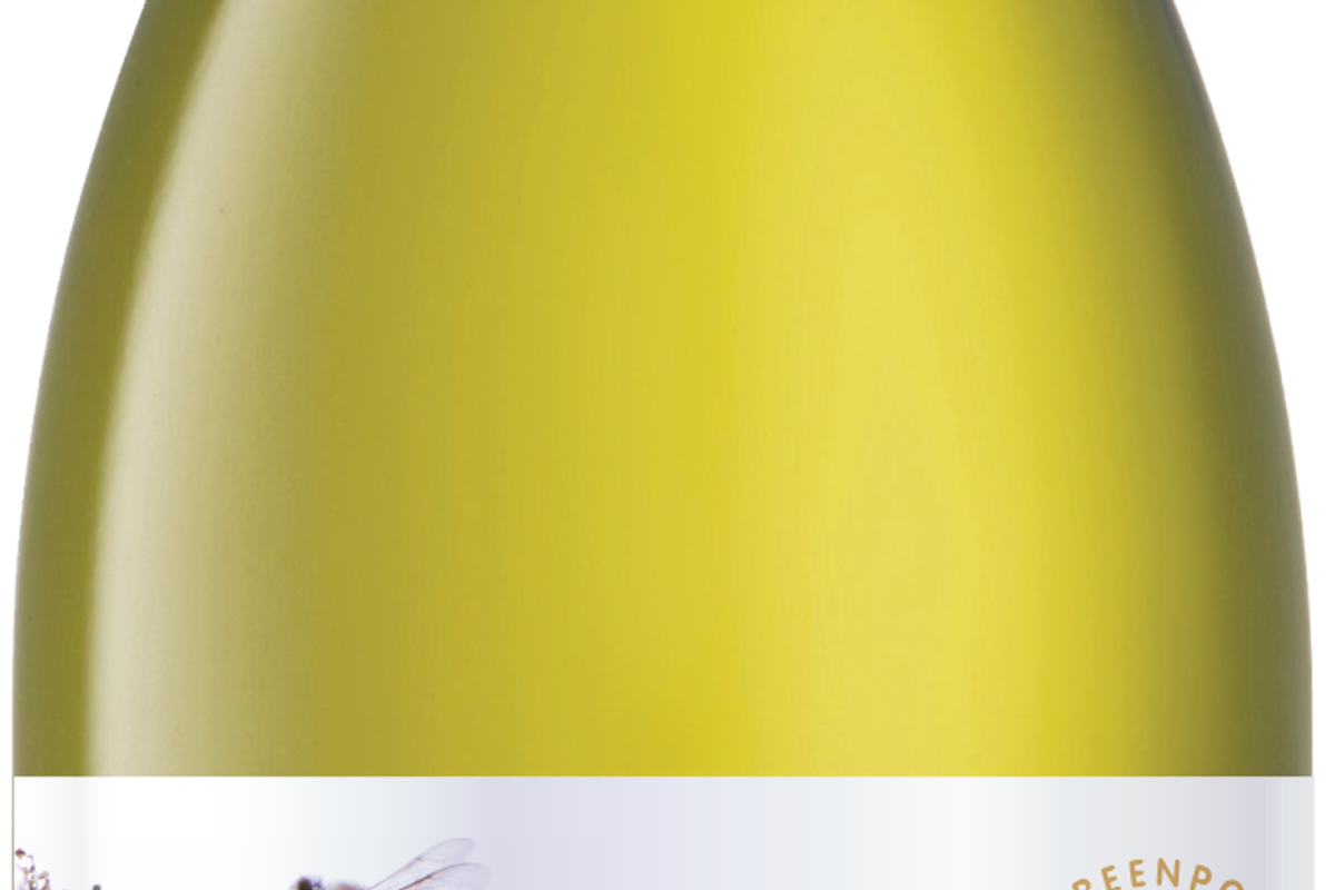 Kingsland Drinks brings premium South African wines to UK retail