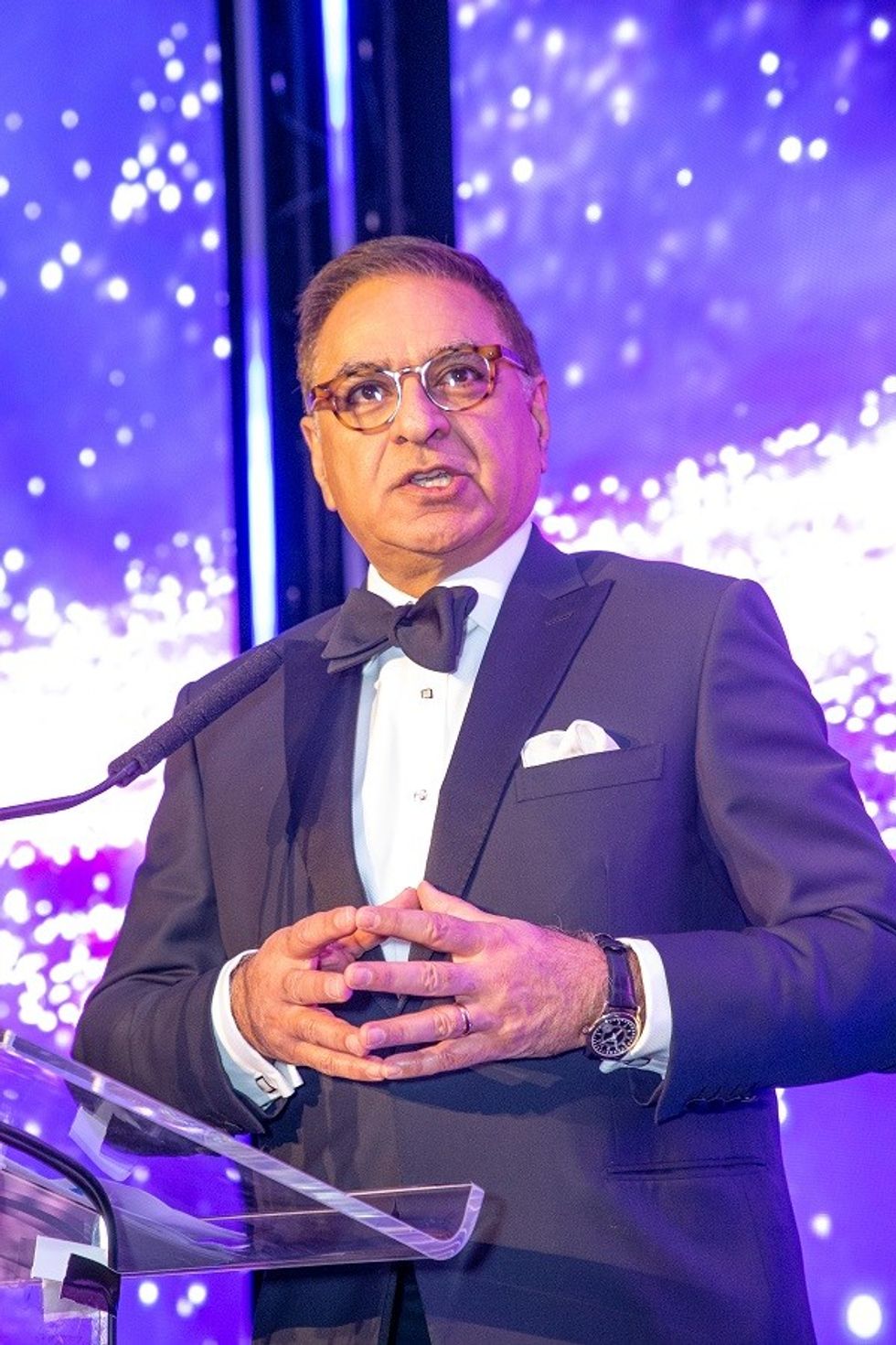 INSET 3a Salman Amin Pladis