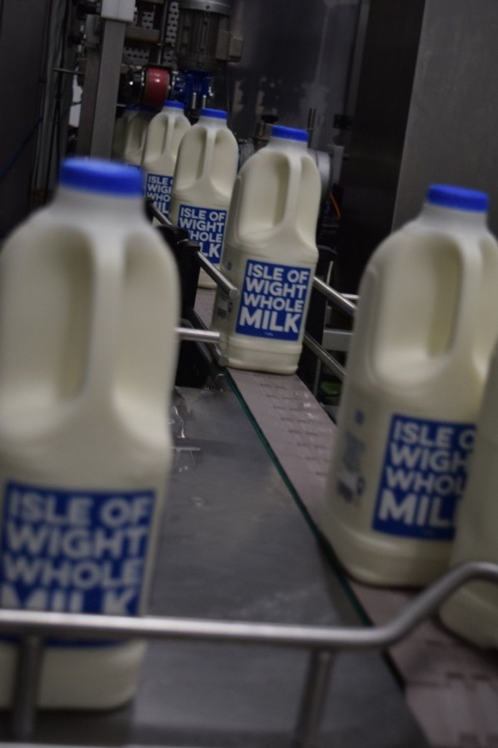 Isle of Wight Whole Milk