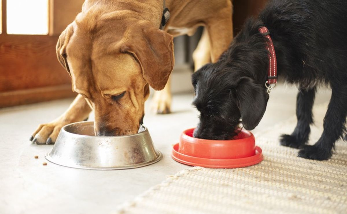 Butcher’s Pet Care secures £43 million funding package