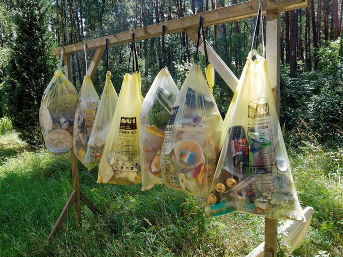 Delay 'confused' recycling reforms, say food corporations