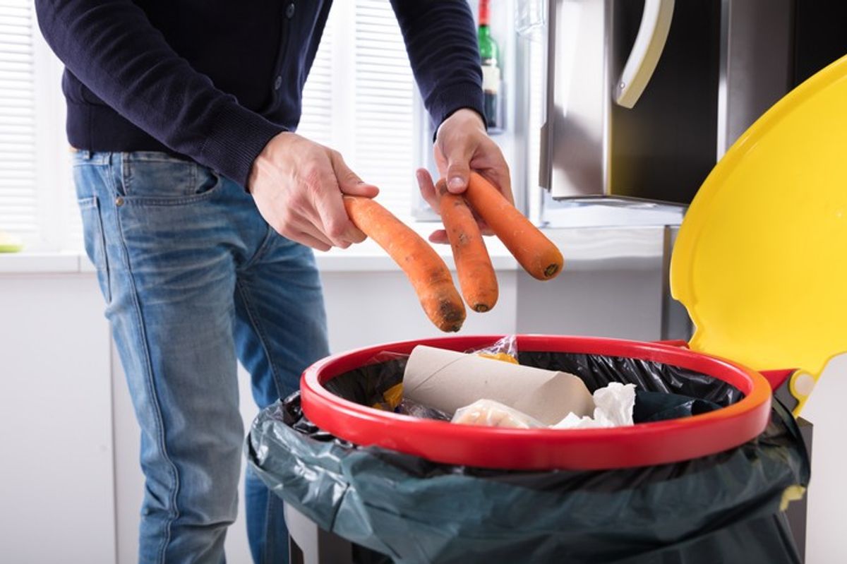 Britons dump '£1.2 billion' worth of food in bins every year