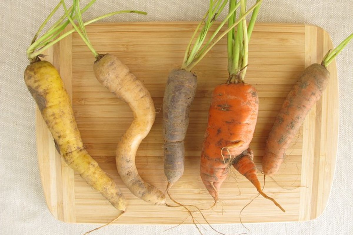 Be prepared to buy wonky vegetables, farmers tell UK