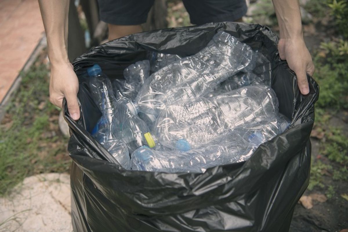 Scotland’s Deposit Return Scheme 'on course for August launch'?