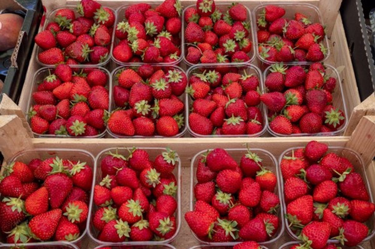 Berry growers accuse retailers of holding profits
