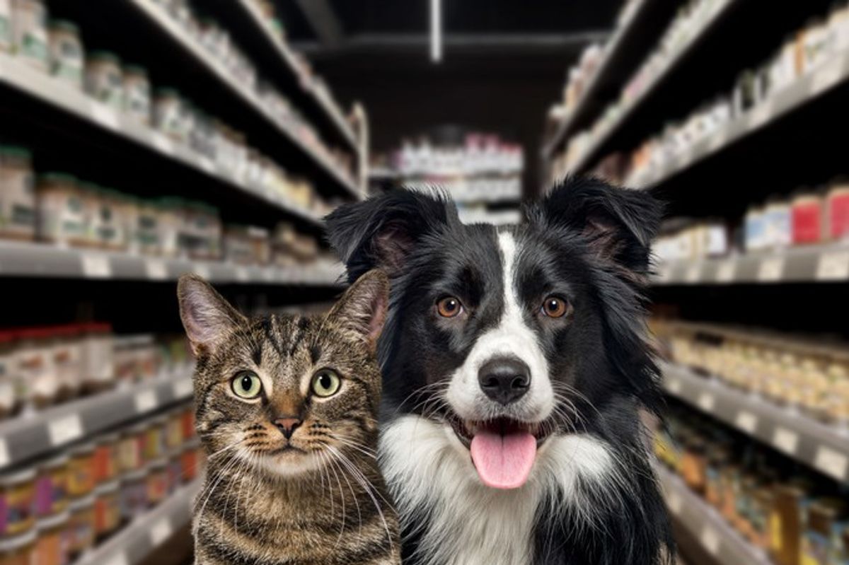 Unlocking pet power in convenience stores