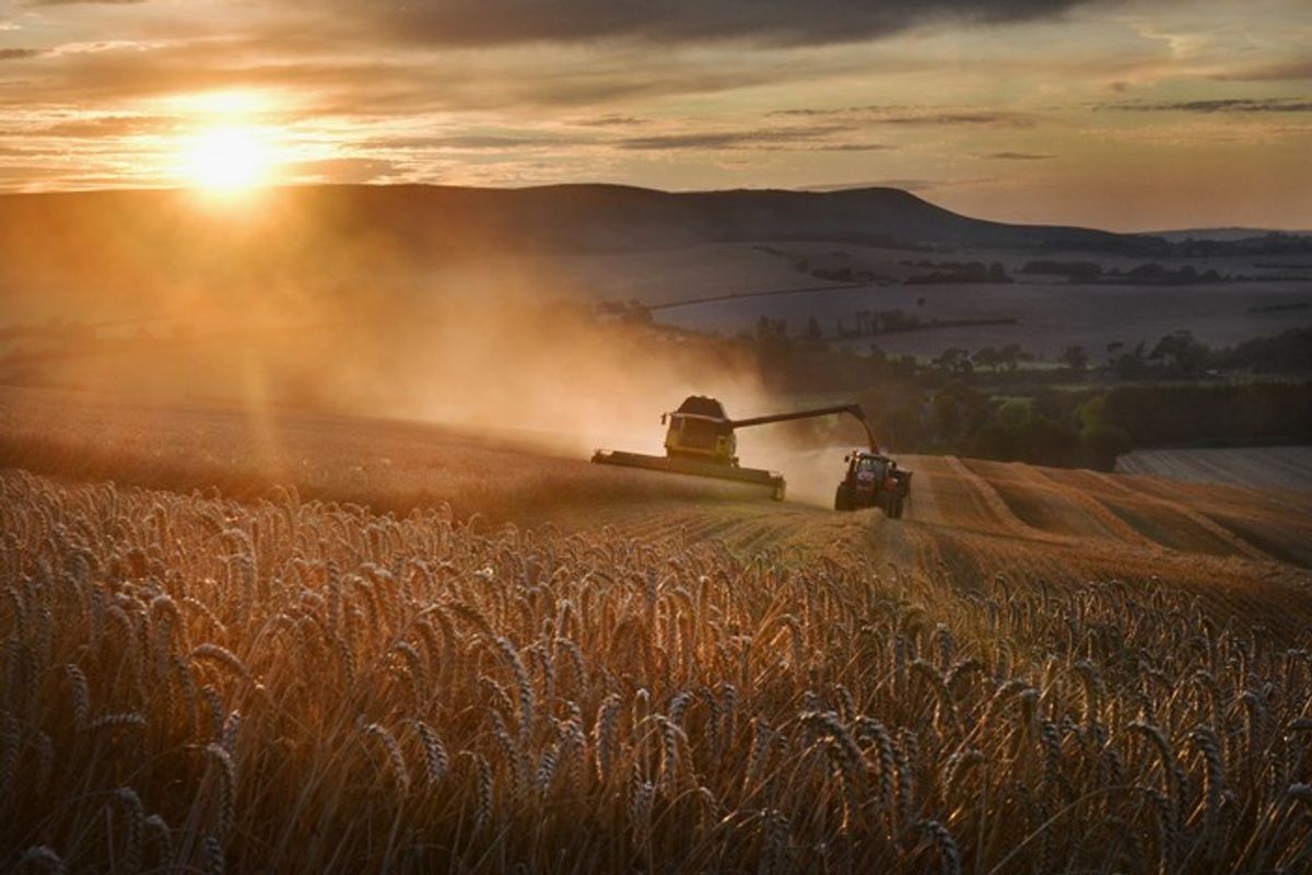 NFU chief shares vision for British farming in 2025