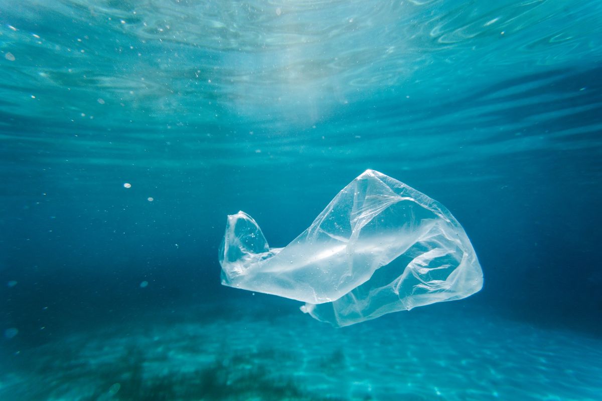 Have a Plastic Free 2024! 