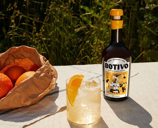 Mangrove Global adds Botivo to portfolio