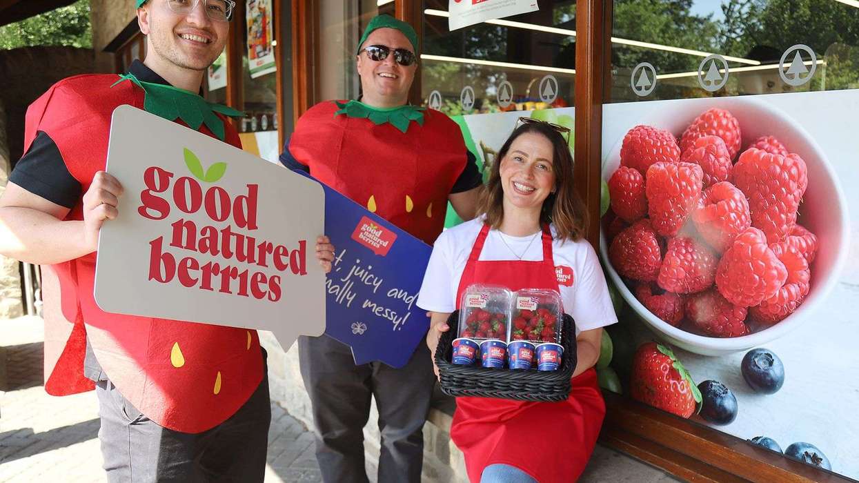 natured berries