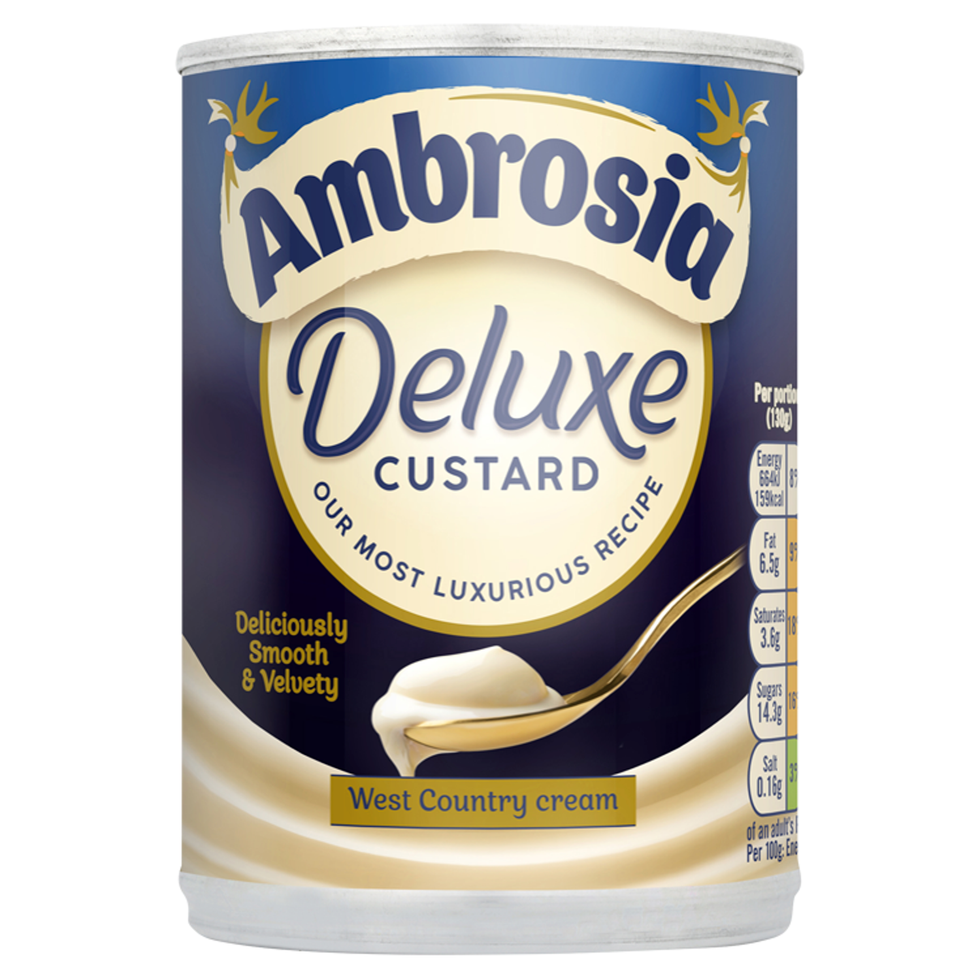 NEW Ambrosia Deluxe Custard Can 400g