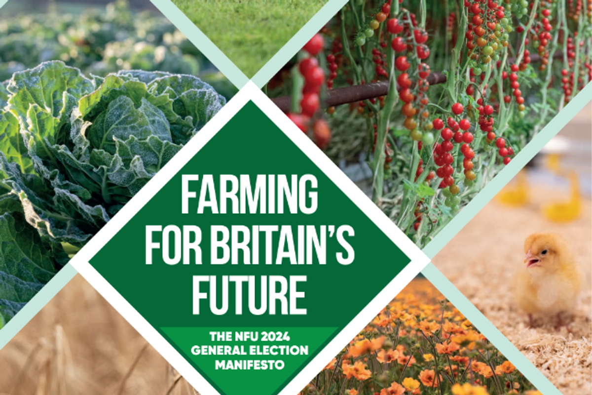 Back British farming, says farmers' union manifesto